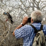 Birdwatching - Uma atividade em expansão 