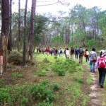 Pedestrianismo - caminhar ao ar livre